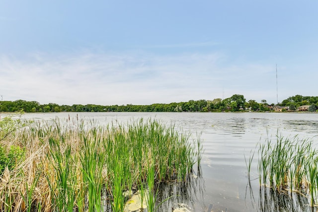 266 Janice St, Shoreview, MN 55126 - water view