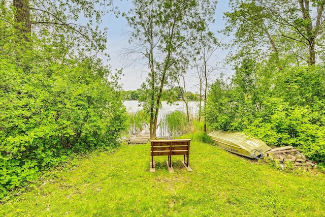 266 Janice St, Shoreview, MN 55126 - view of grassy yard with a water view