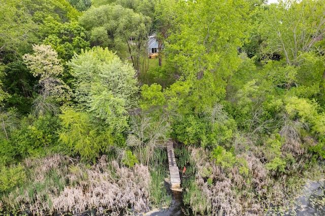 266 Janice St, Shoreview, MN 55126 - bird's eye view of a heavily wooded area