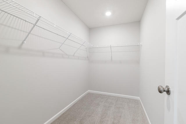 6687 Bluestem Way, Minnetrista, MN 55331 - walk in closet with carpet flooring