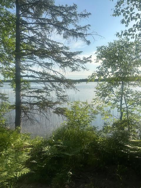 TBD Vandermeer Ct NW, Bemidji, MN 56630 - photo 8