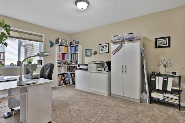 1217 Blossom Blvd NW, Isanti, MN 55040 - view of carpeted office