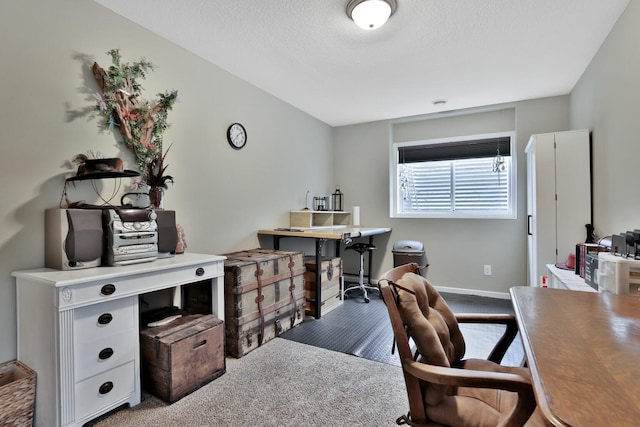 1217 Blossom Blvd NW, Isanti, MN 55040 - home office featuring carpet and a textured ceiling