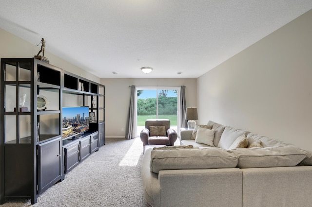 14246 Wilds Dr NW, Prior Lake, MN 55372 - living area featuring light colored carpet and a textured ceiling