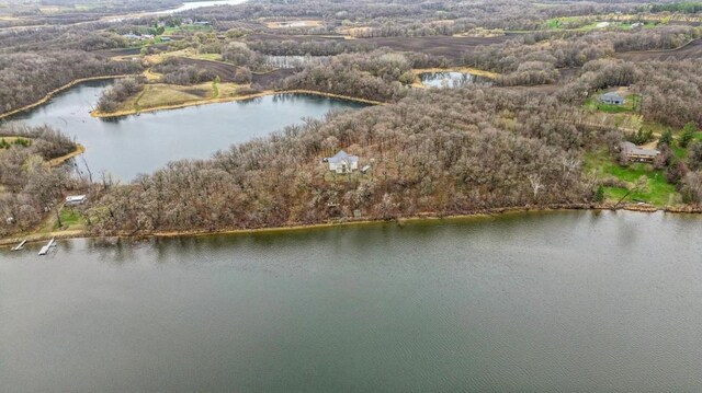 9104X Rachel Shrs SW, Holmes City Twp, MN 56327