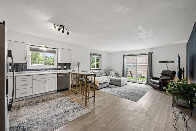 701 Auburn Pl NW, Elk River, MN 55330 - living area featuring a textured ceiling, light wood-type flooring, and healthy amount of natural light