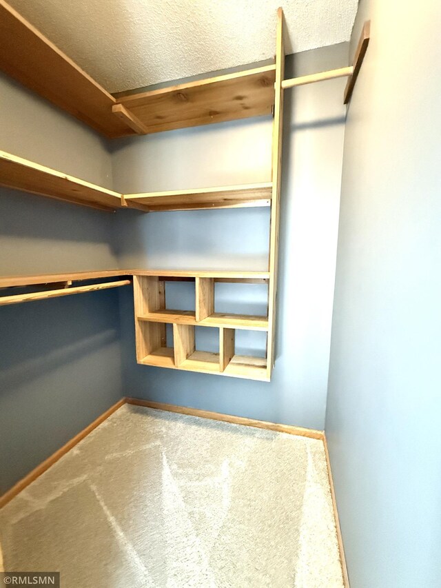 103 Highview Dr, Dassel, MN 55325 - walk in closet with carpet floors