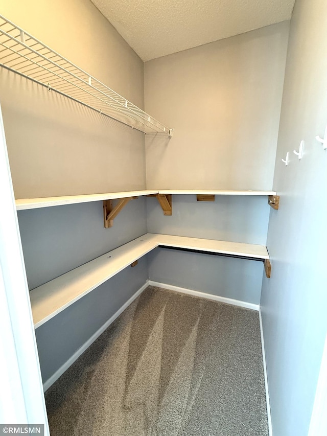 103 Highview Dr, Dassel, MN 55325 - view of storage area