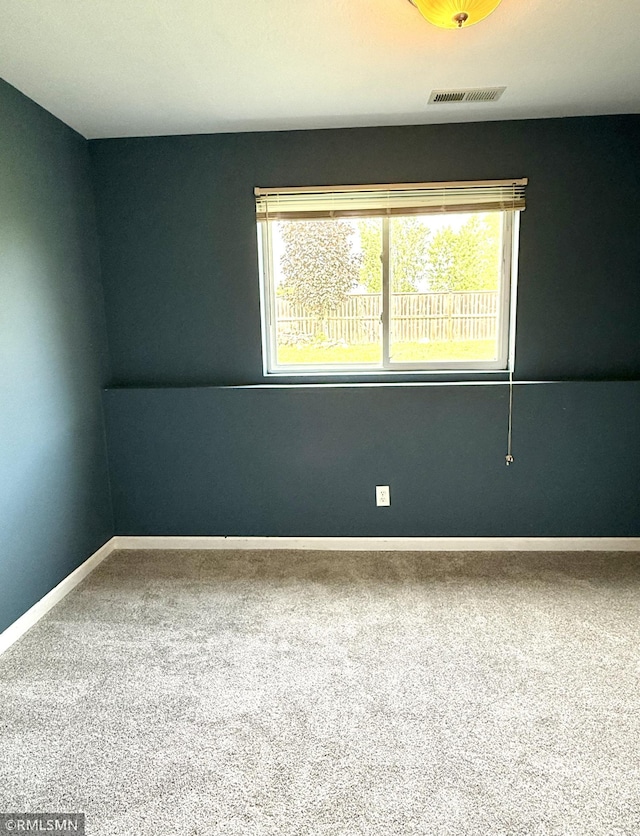 103 Highview Dr, Dassel, MN 55325 - carpeted empty room with healthy amount of natural light and baseboards