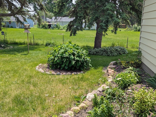 702 Hills Ln, Albert Lea, MN 56007 - view of green lawn