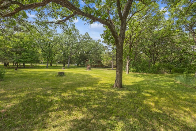 4399 124th Ave, Clear Lake, MN 55319 - view of grassy yard