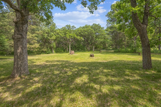 4399 124th Ave, Clear Lake, MN 55319 - view of grassy yard featuring a wooded view