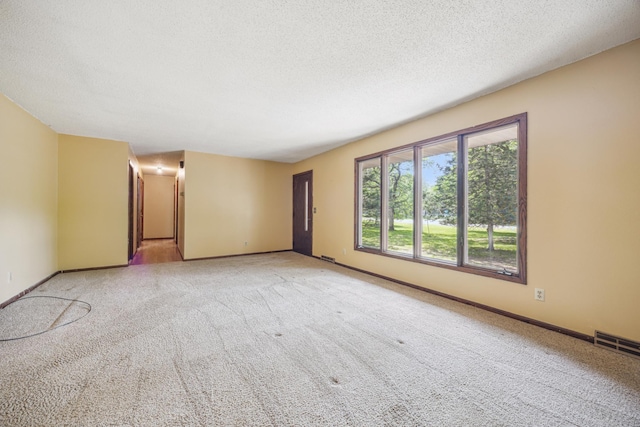 4399 124th Ave, Clear Lake, MN 55319 - empty room with a textured ceiling, light colored carpet, and baseboards