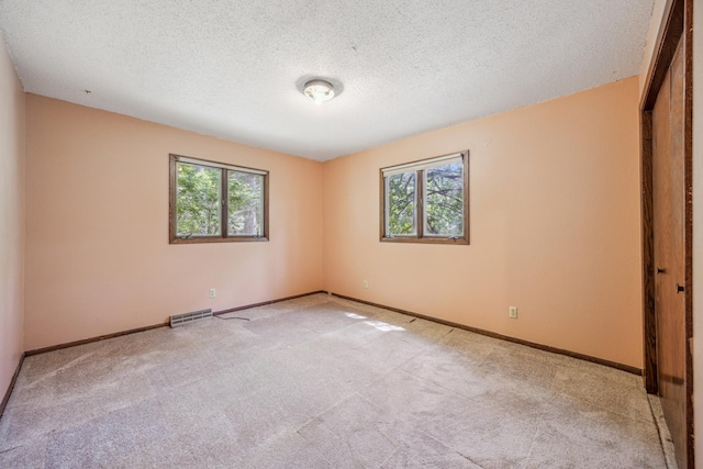 4399 124th Ave, Clear Lake, MN 55319 - carpeted spare room featuring plenty of natural light, a textured ceiling, and baseboards