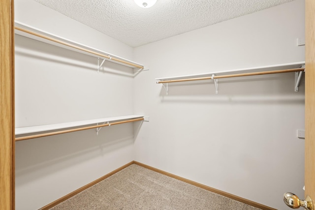 13408 Ximines Ln N, Champlin, MN 55316 - walk in closet with carpet flooring