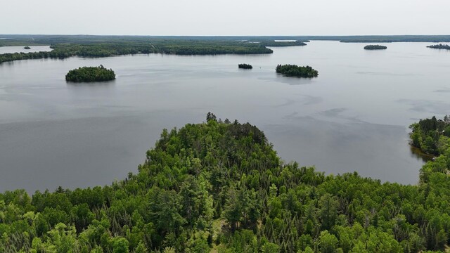 TBD11.85 Bessette Rd, Orr, MN 55771