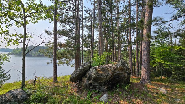 TBD11.85 Bessette Rd, Orr, MN 55771
