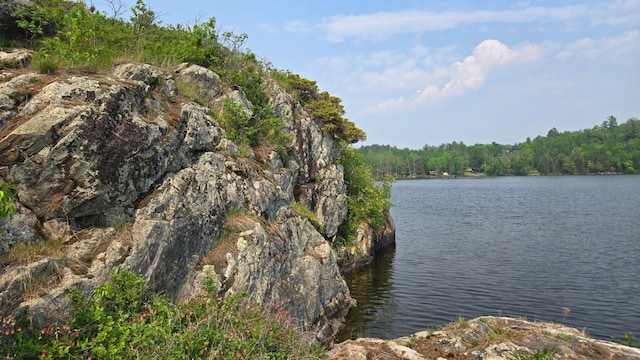 TBD11.85 Bessette Rd, Orr, MN 55771