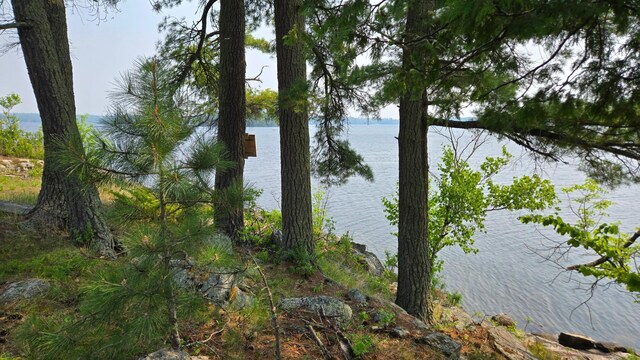 TBD11.85 Bessette Rd, Orr, MN 55771