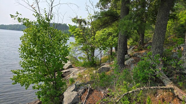 TBD11.85 Bessette Rd, Orr, MN 55771