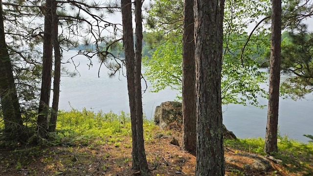 TBD11.85 Bessette Rd, Orr, MN 55771