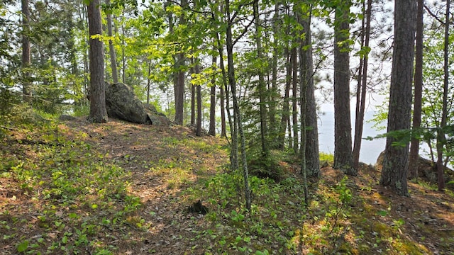 TBD11.85 Bessette Rd, Orr, MN 55771