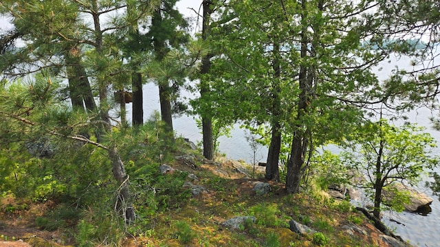 TBD11.85 Bessette Rd, Orr, MN 55771