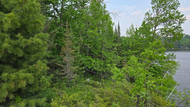 TBD11.85 Bessette Rd, Orr, MN 55771