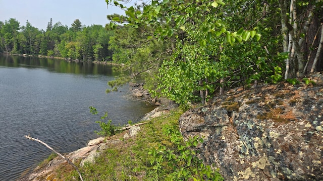 TBD11.85 Bessette Rd, Orr, MN 55771