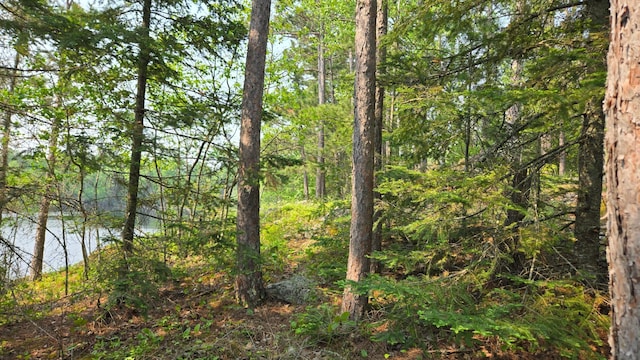TBD11.85 Bessette Rd, Orr, MN 55771