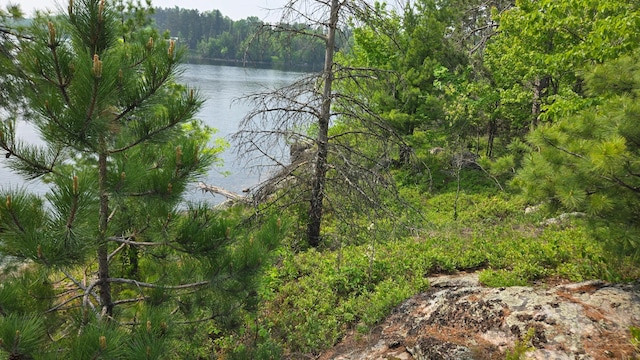 TBD11.85 Bessette Rd, Orr, MN 55771