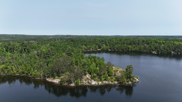 TBD11.85 Bessette Rd, Orr, MN 55771