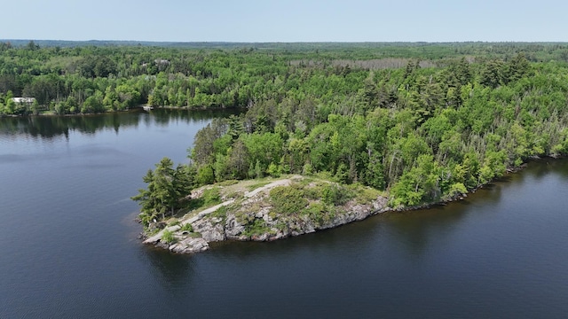 TBD11.85 Bessette Rd, Orr, MN 55771