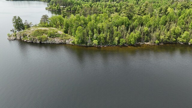 TBD11.85 Bessette Rd, Orr, MN 55771