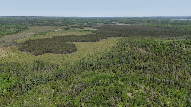 TBD11.85 Bessette Rd, Orr, MN 55771