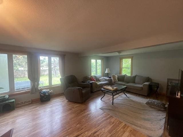 806 Central Ave N, Park Rapids, MN 56470 - living area with wood finished floors, baseboards, and a textured ceiling