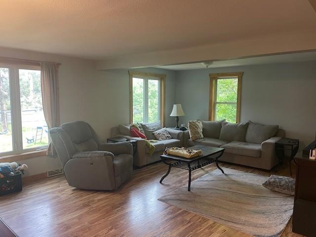 806 Central Ave N, Park Rapids, MN 56470 - living room featuring wood finished floors and baseboards