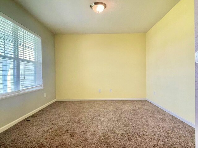 8521 Titanium Cir, Woodbury, MN 55129 - carpeted empty room with plenty of natural light and baseboards