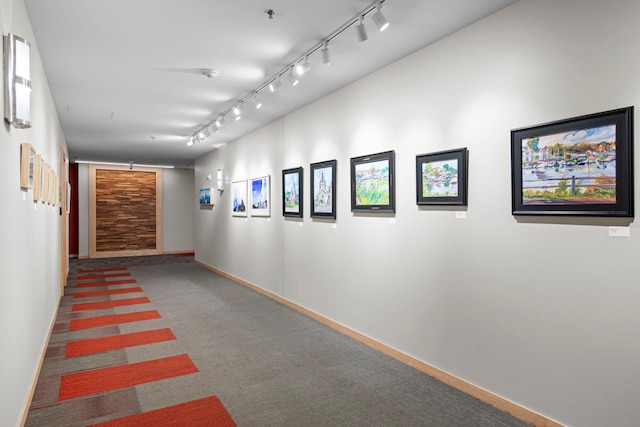 215 10th Ave S Unit 730, Minneapolis, MN 55415 - hallway with track lighting, a barn door, and carpet