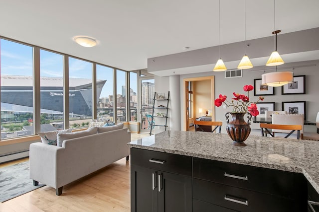 215 10th Ave S Unit 730, Minneapolis, MN 55415 - kitchen with dark cabinets, light wood-style flooring, plenty of natural light, and open floor plan