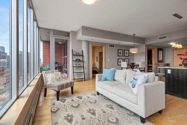 215 10th Ave S Unit 730, Minneapolis, MN 55415 - living room with light wood-type flooring, expansive windows, and a baseboard radiator