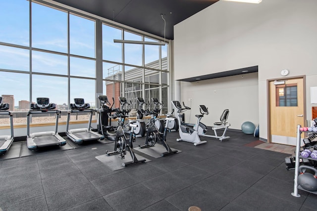 215 10th Ave S Unit 730, Minneapolis, MN 55415 - workout area with a towering ceiling