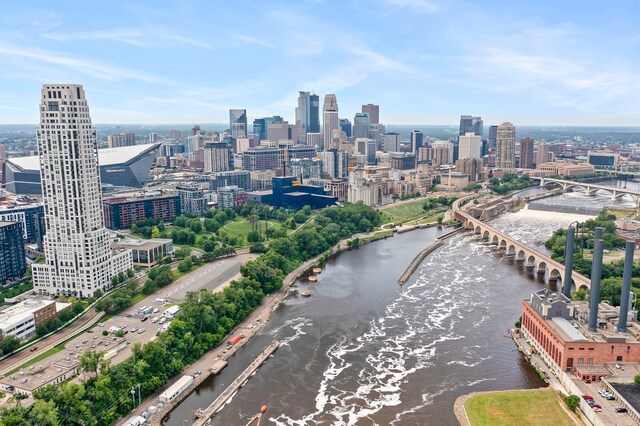 215 10th Ave S Unit 730, Minneapolis, MN 55415 - view of city skyline featuring a nearby body of water
