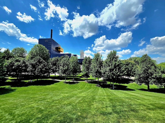 215 10th Ave S Unit 730, Minneapolis, MN 55415 - view of property's community featuring a yard