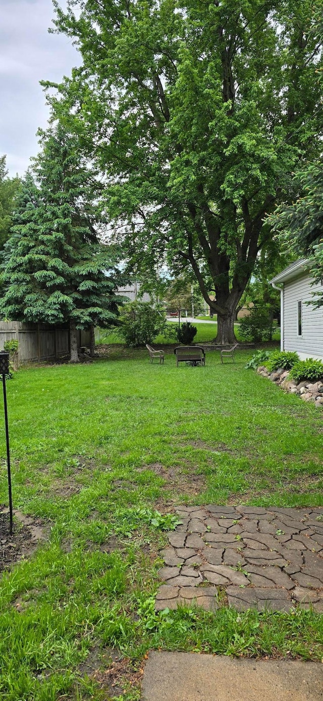 526 Mound St, Owatonna, MN 55060 - view of yard