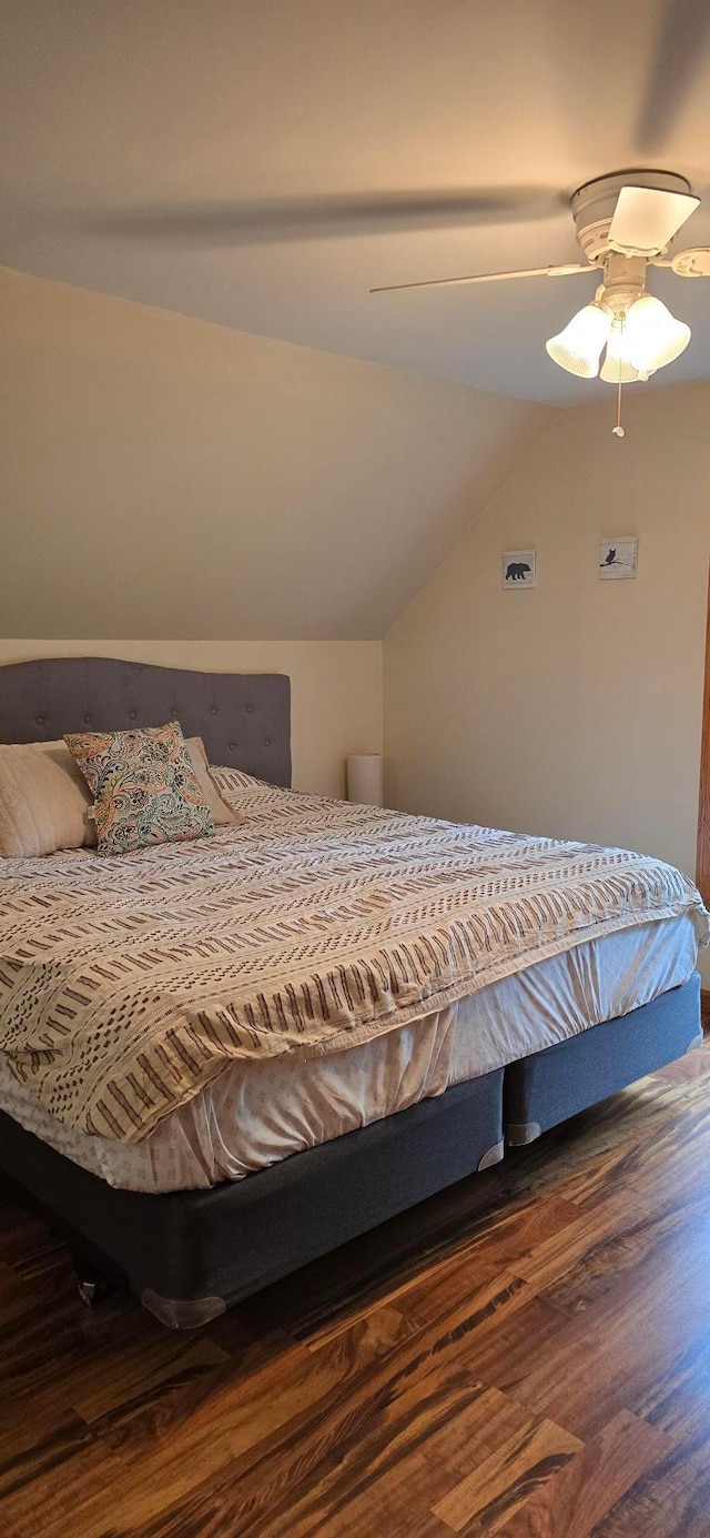 526 Mound St, Owatonna, MN 55060 - bedroom with wood finished floors, lofted ceiling, and ceiling fan