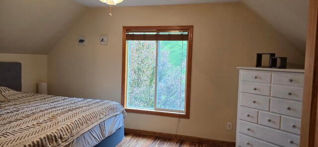 526 Mound St, Owatonna, MN 55060 - bedroom with lofted ceiling, wood finished floors, and multiple windows