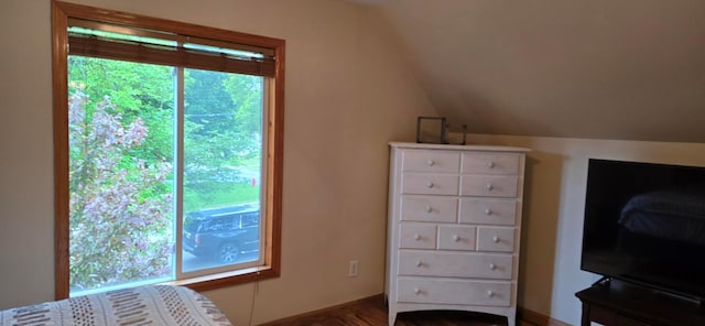 526 Mound St, Owatonna, MN 55060 - bedroom featuring multiple windows and lofted ceiling
