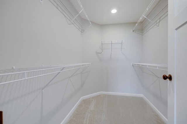 15354 112th Ave N, Dayton, MN 55369 - walk in closet with carpet floors