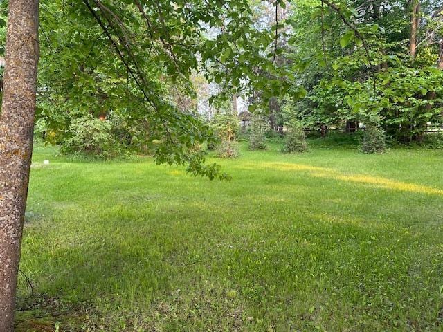 19373 Ethel Beach Rd NE, Kelliher, MN 56650 - view of green lawn